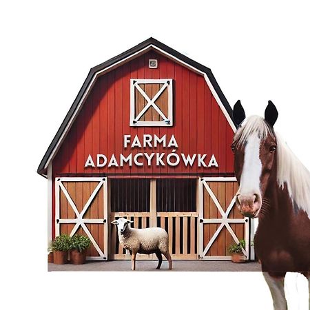 Willa Adamcykówka Kluszkowce Zewnętrze zdjęcie