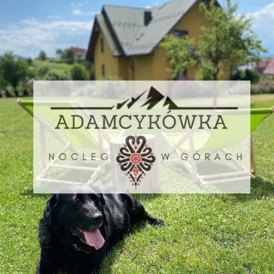Willa Adamcykówka Kluszkowce Zewnętrze zdjęcie