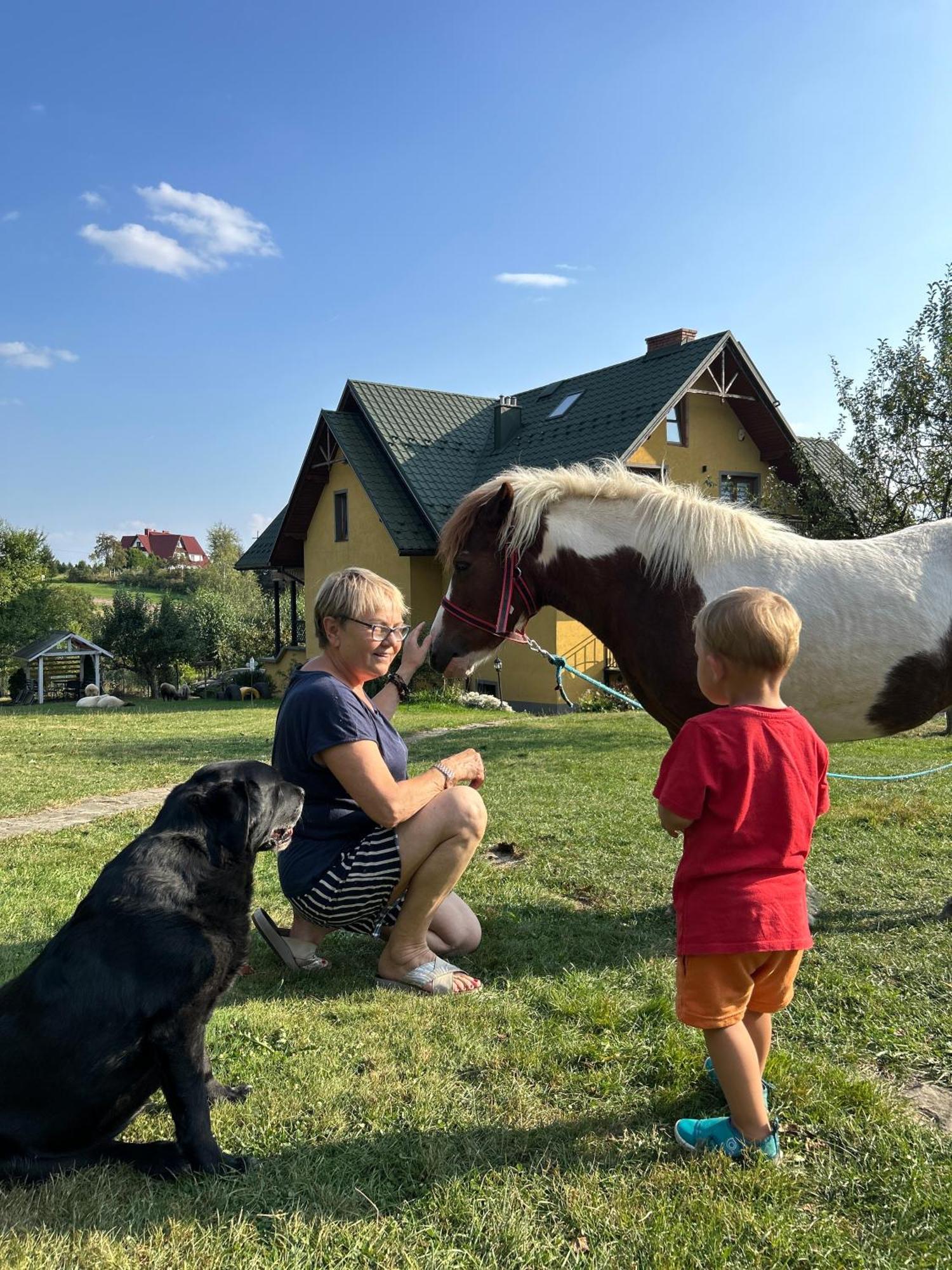 Willa Adamcykówka Kluszkowce Zewnętrze zdjęcie